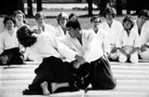 35th gallery thumbnail